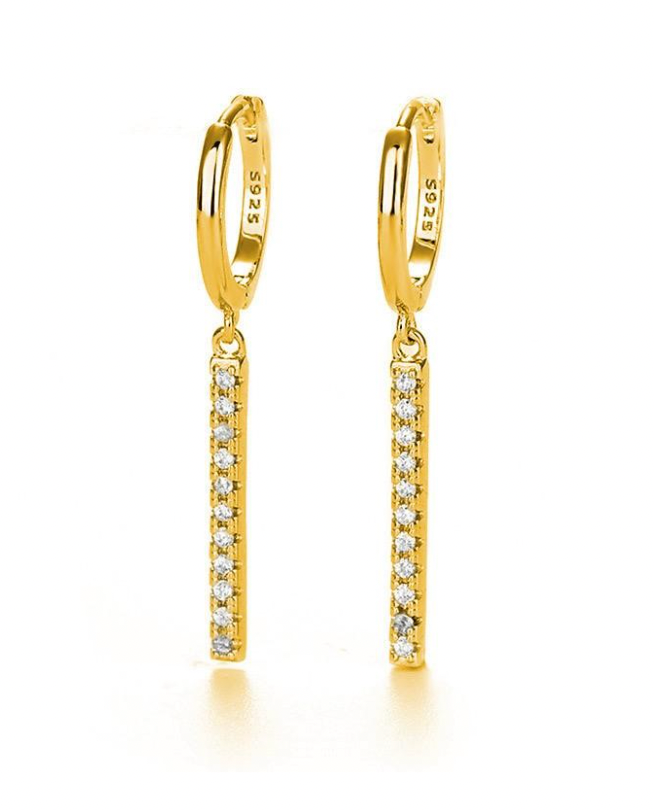 Bright line Earrings